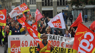 Retraites: une 14e, et peut-être ultime, journée de mobilisation