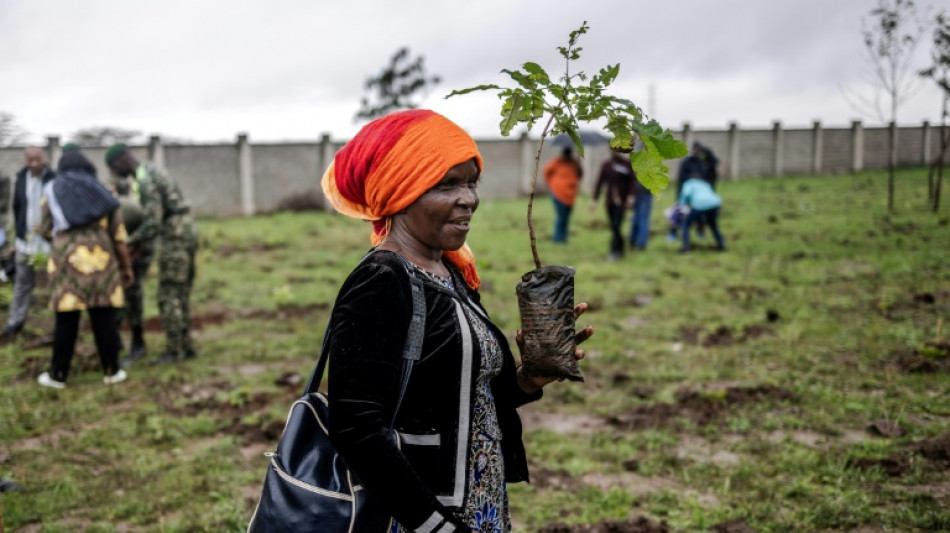 Kenyans brave heavy rain to plant trees