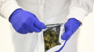 Portugal, foco europeo del cannabis medicinal