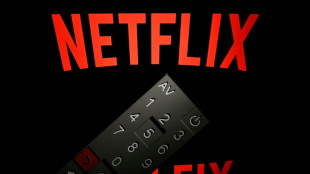 Netflix wins subscribers as ad strategy pays off