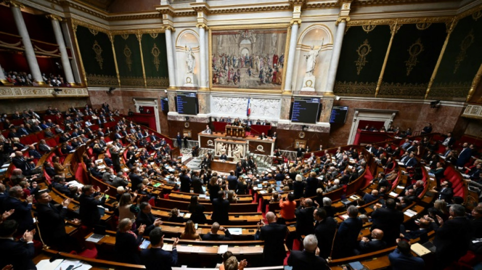 Assemblée: nouvelle semaine, nouvelles motions... et nouveau 49.3 ?