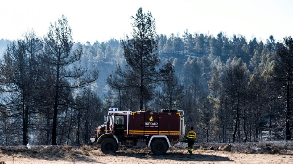 Espagne: un vent fort ravive le premier feu de forêt majeur de l'année