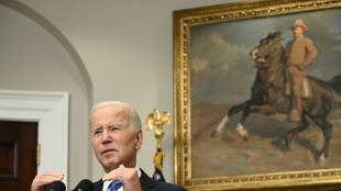 US, allies not 'intimidated' by Putin: Biden