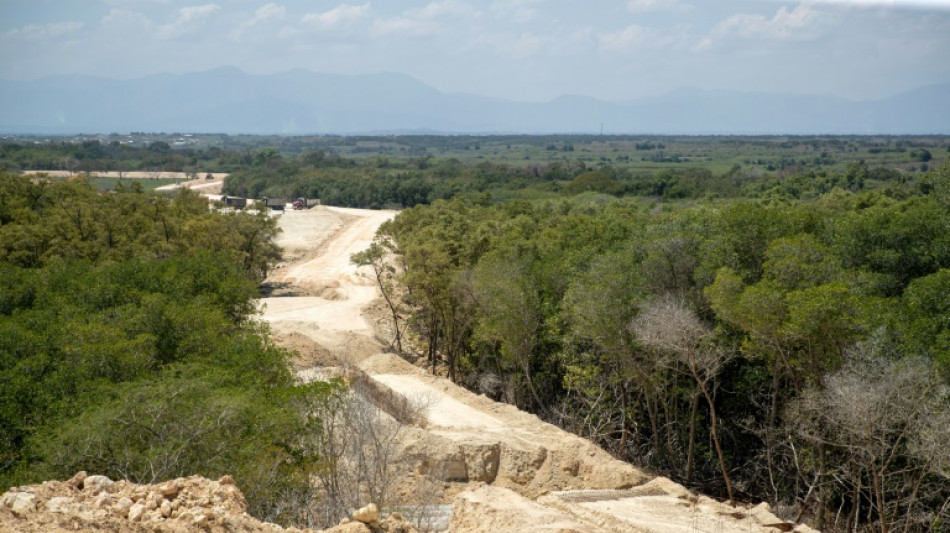 Dominican border wall threatens environment, mangroves