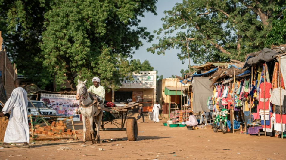 Truckers strike accusing Wagner of driver death in Central African Republic