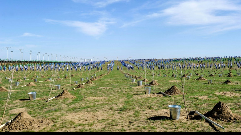 Le Turkménistan, désertique, plante près d'un demi-million d'arbres en un jour