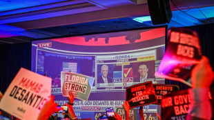 Republican 'red wave' hopes fizzle in US midterm vote