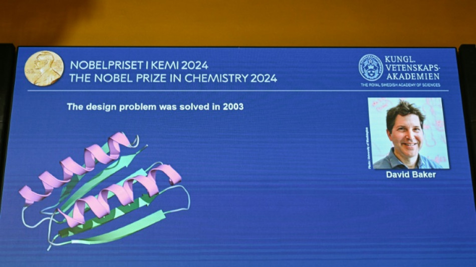 La creación de nuevas proteínas, un campo prometedor que ha merecido un Premio Nobel de Química