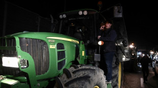 Bottes de paille, "rage" et blocages: les agriculteurs amplifient leur mouvement