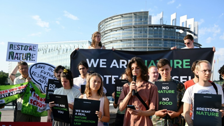 Eurodiputados respaldan proyecto de ley clave sobre biodiversidad