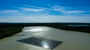 Produktion von erneuerbarer Energie steigt im ersten Halbjahr kräftig an