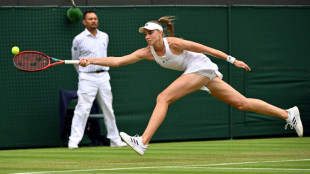 Russian-born Rybakina eyes Wimbledon final despite compatriots' ban