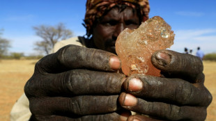 Sudan war hits crucial gum arabic business