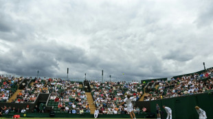 Goffin in Wimbledon quarter-finals after longest match