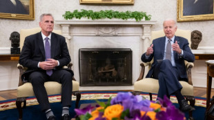 McCarthy says Biden debt talks 'productive', but no deal 