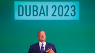 Quand Al Gore épingle les Emirats, hôtes de la COP28, pour leur bilan carbone