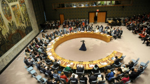 Japan elected to UN Security council for two years