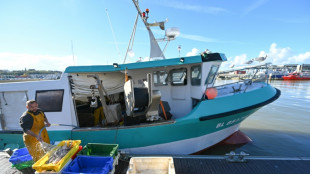 Verdir la flotte de pêche de l'UE, un défi coûteux et de longue haleine