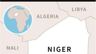 Niger's army entered Mali in hunt for 'terrorists': ministry