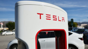 Tesla: livraisons et production déçoivent au premier trimestre, l'action en pâtit