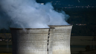 Sûreté nucléaire: suspense à l'Assemblée pour une réforme décriée