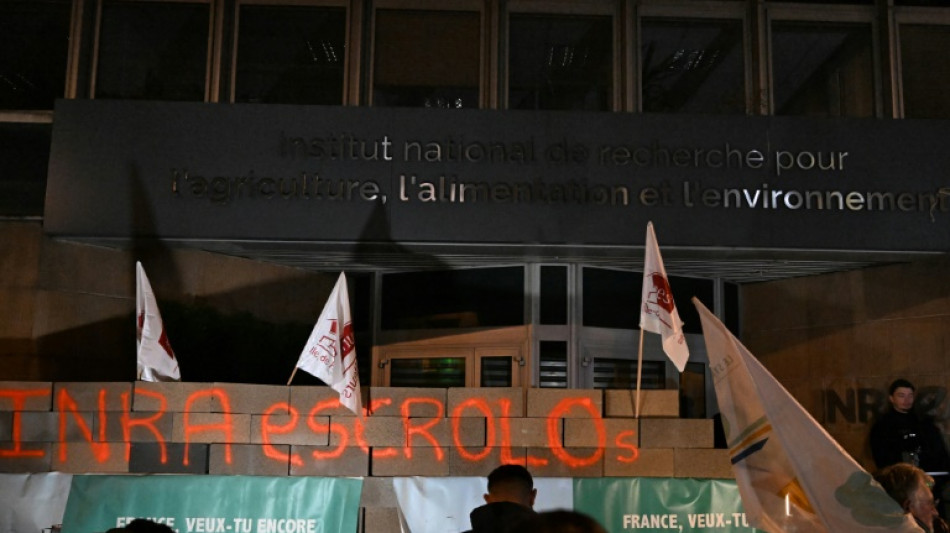 French farmers wall off public buildings in protest over regulations