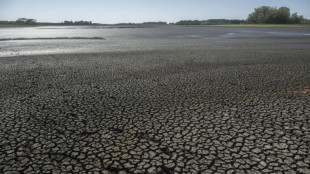 'Vampiric' water use leading to 'imminent' global crisis, UN warns