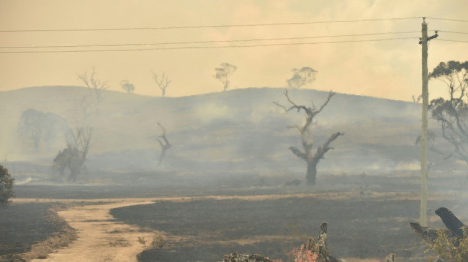 Australian bushfires may have helped trigger La Nina