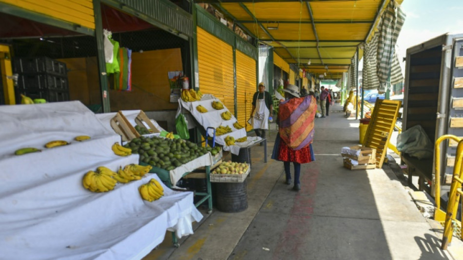 Peru faces food, fuel shortages as protesters dig in