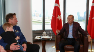 Erdogan pede a Musk instalação de fábrica Tesla na Turquia