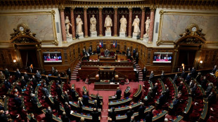 Budget de la Sécu: le Sénat vote un an de stage en désert médical pour les médecins