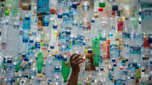 OECD: Nur neun Prozent des verwendeten Plastiks wird recycelt