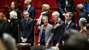 Uproar in French parliament after 'back to Africa' outburst