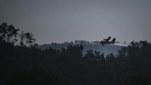 Portugal lucha contra tres incendios forestales y la amenaza de una canícula