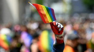 Regenbogen-Zebrastreifen in Wiesbaden erneut mit schwarzer Farbe besprüht