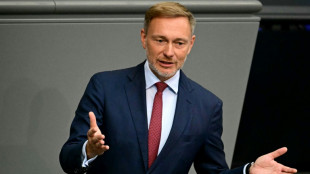 Opposition lässt kein gutes Haar am Haushalt - Auch Lindner nicht ganz zufrieden