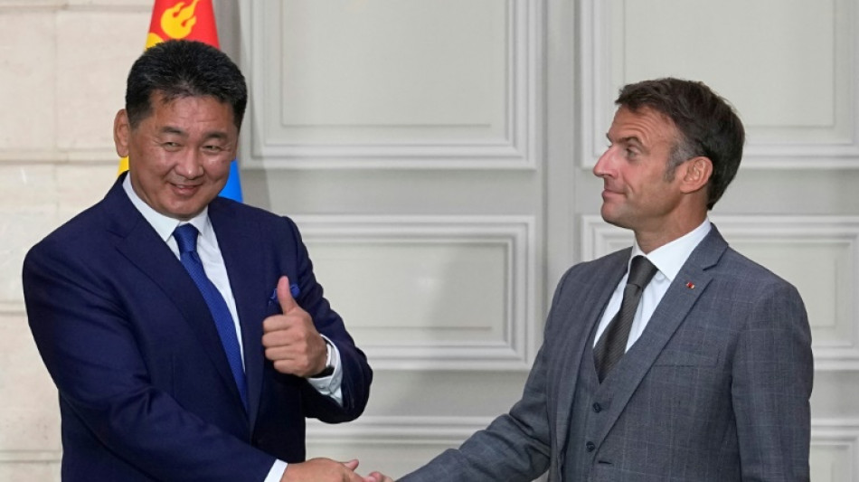 Macron reçoit le président de Mongolie, l'exploitation d'une grosse mine d'uranium à la clé