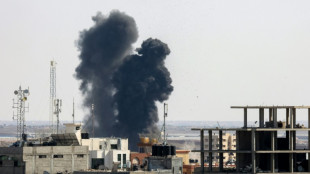 Amnesty urges ICC probe of possible Gaza war crimes