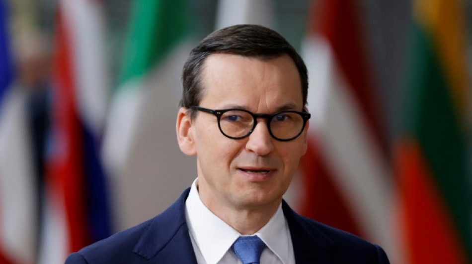 Poland picks US firm to build 1st nuclear power station: PM