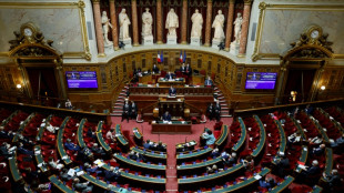 Pouvoir d'achat: le budget rectificatif au Sénat avec la taxe sur les "superprofits"