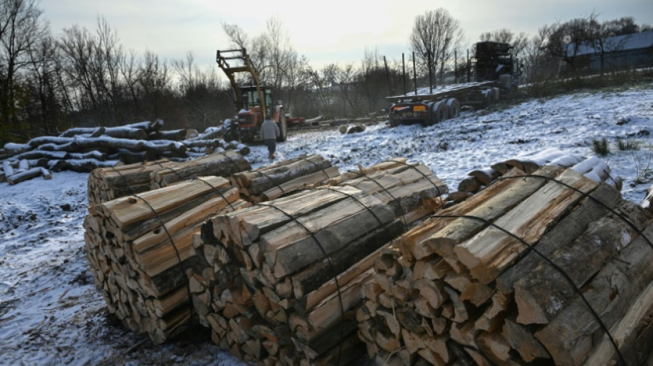 En Alsace, la demande de bois de chauffage flambe