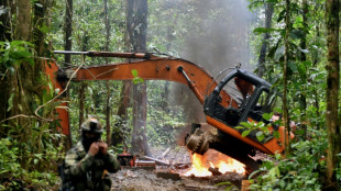 Les mines d'or illégales de la jungle colombienne dans le viseur des forces armées