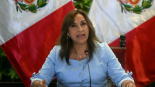 Peru's president calls for multi-party dialogue to end crisis