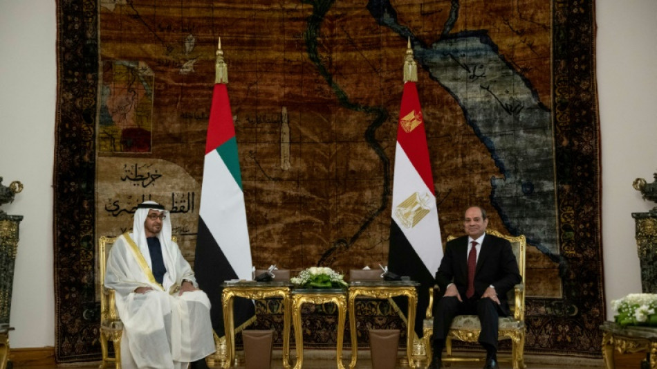 Egypt's Sisi meets UAE leader amid economic woes