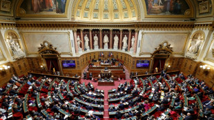 Le Sénat termine son marathon budgétaire en adoptant un texte remanié