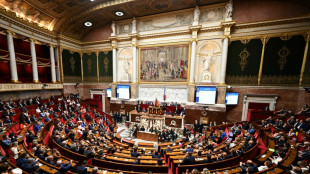 Assemblée: après la bataille du perchoir s'ouvre celle des postes-clés, la place du RN en question