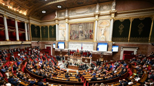 L'Assemblée élit ses vice-présidents après un vote chaotique, l'hémicycle s'enflamme déjà
