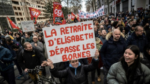 Retraites: les militants RN hésitent à se joindre aux cortèges