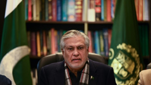 Pakistan: pas d'accord avec le FMI pour une aide financière, mais des progrès