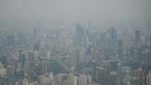 Ozone pollution linked to increased heart disease: study